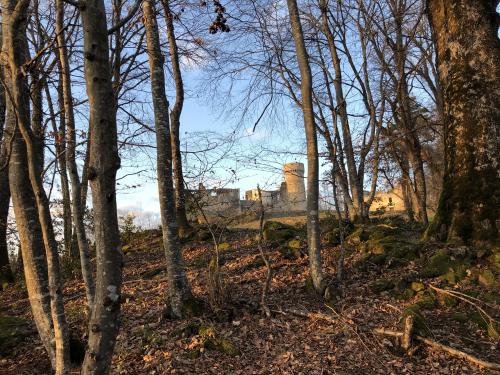 Château de la Faye [19-02-2022](IMG_4440).jpg